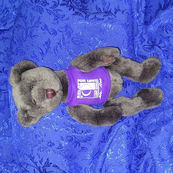 1998-1999 ACS Relay For Life "Mr. Ree" (mystery) Teddy Bear VTG Plush Logo Bear - Picture 4 of 17